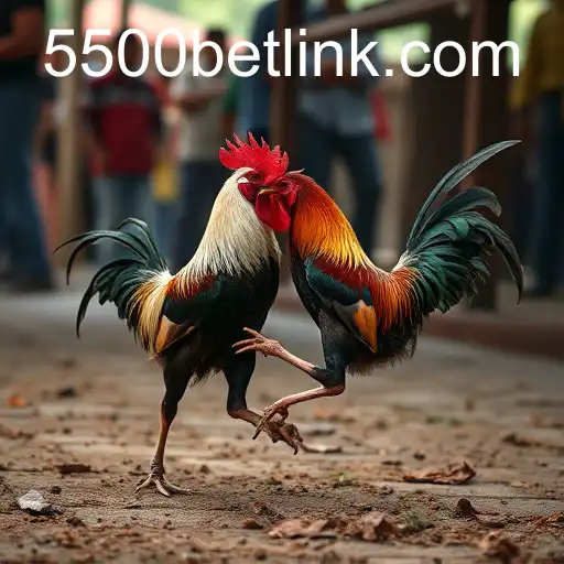 Cockfighting: Tradition and Controversy